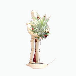 Creative Rotating Arrangement Plant Flower Device