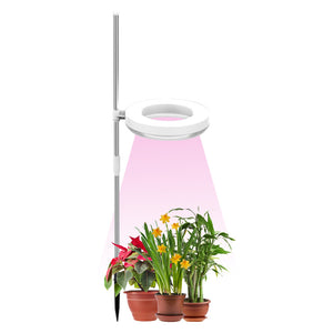 Home Office Desk Flower And Plant Growth Lamp