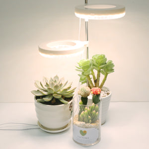 Home Office Desk Flower And Plant Growth Lamp