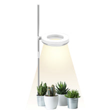 Load image into Gallery viewer, Home Office Desk Flower And Plant Growth Lamp
