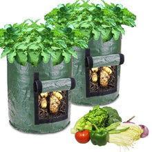 Load image into Gallery viewer, Potato Grow Bags Vegetable Planter Growing Bag DIY Fabric Grow Pot Outdoor Garden Pots Garden Tools Veget Garden