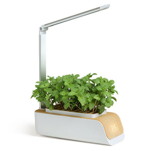 Desk Lamp Hydroponic Indoor Herb Garden Kit Smart Multi-Function Growing Led Lamp For Flower Vegetable Fruit Plant Growth Light