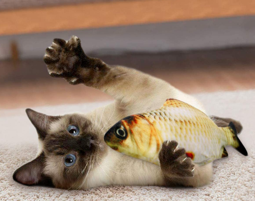 Fishy Cat Friend